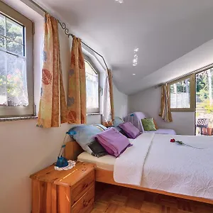 https://apartments-ljiljana-pula.pula-hotels.org